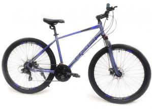 Велосипед AXIS 700 MD 21 sp (Размер 19; Цвет grey/blue)