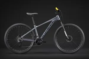 ВЕЛОСИПЕД SILVERBACK STRIDE DELIGHT 29