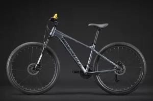 ВЕЛОСИПЕД SILVERBACK STRIDE DELIGHT 29