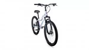 ВЕЛОСИПЕД FORWARD IRIS 24 2.0 D 2022