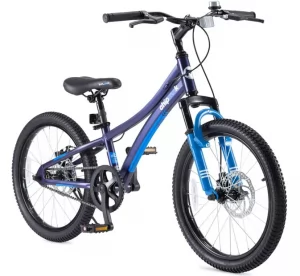 Велосипед Royal Baby Explorer синий 20'
