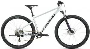 Велосипед Forward Sporting 29 XX (19 серебристый-фиолетовый) (2021)