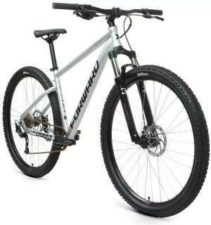 Велосипед Forward Sporting 29 XX (19 серебристый-фиолетовый) (2021)