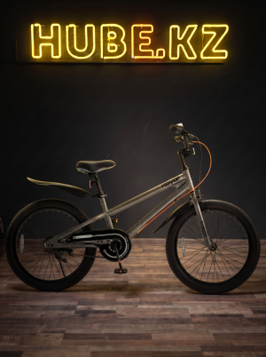 Велосипед Royal Baby Freestyle 20 СЕРЫЙ