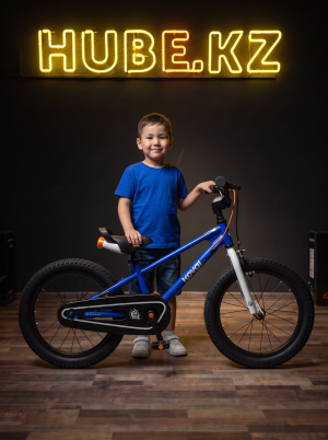 Велосипед Royal Baby Freestyle EZ 18