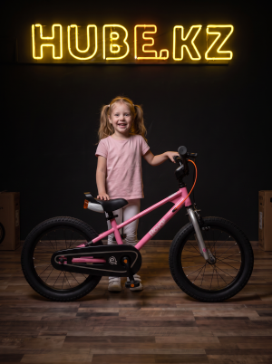 Велосипед Royal Baby Freestyle EZ 18