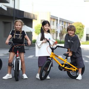 Велосипед Royal Baby Freestyle 14' ЖЕЛТЫЙ