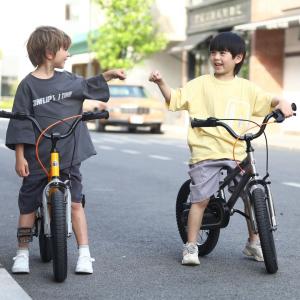 Велосипед Royal Baby Freestyle 14 СЕРЫЙ