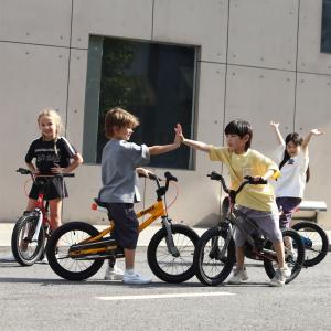 Велосипед Royal Baby Freestyle 16 КРАСНЫЙ