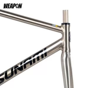 Frameset TSUNAMI SNM100 (Raw Polish) размер L (55)