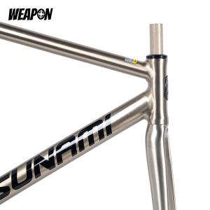 Frameset TSUNAMI SNM100 (Raw Polish) размер S (49)