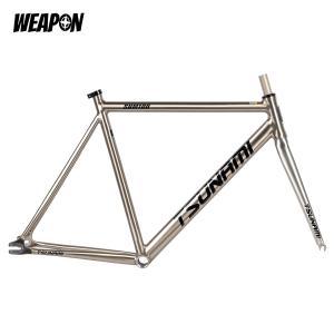 Frameset TSUNAMI SNM100 (Raw Polish) размер XL (58)