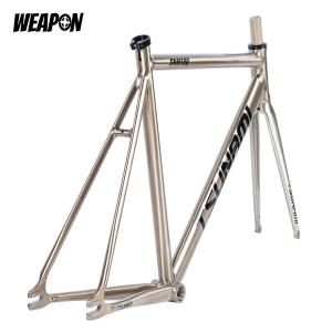 Frameset TSUNAMI SNM100 (Raw Polish) размер XL (58)