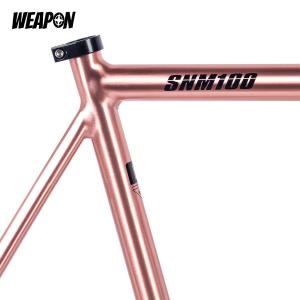 Frameset TSUNAMI SNM100 (Rose Gold) размер L (55)