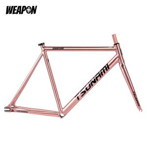 Frameset TSUNAMI SNM100 (Rose Gold) размер S (49)