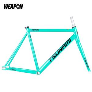Frameset TSUNAMI SNM100 (Celeste) размер S (49)