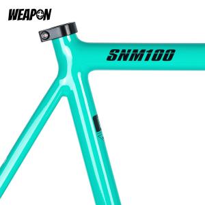 Frameset TSUNAMI SNM100 (Celeste) размер M (52)