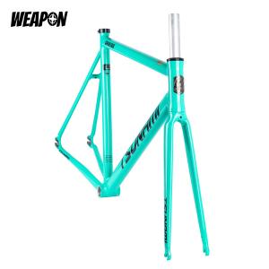 Frameset TSUNAMI SNM100 (Celeste) размер L (55)