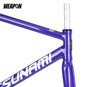 Frameset TSUNAMI SNM100 (Purple) размер S (49)