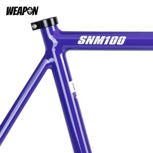 Frameset TSUNAMI SNM100 (Purple) размер L (55)