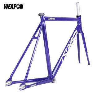 Frameset TSUNAMI SNM100 (Purple) размер XL (55)