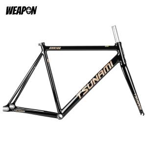 Frameset TSUNAMI SNM100 (Glossy Black) размер M (52)