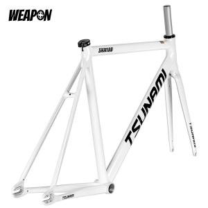 Frameset TSUNAMI SNM100 (White) размер XL (55)