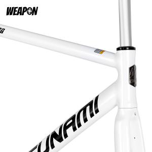 Frameset TSUNAMI SNM100 (White) размер XL (55)