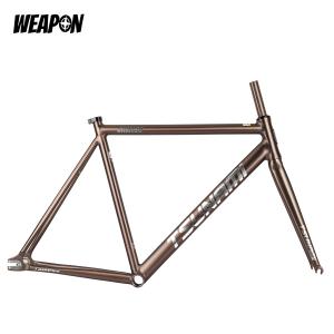 Frameset TSUNAMI SNM100 (Ti Gray) размер S (49)
