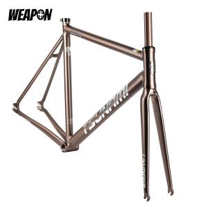 Frameset TSUNAMI SNM100 (Ti Gray) размер S (49)