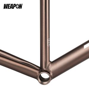 Frameset TSUNAMI SNM100 (Ti Gray) размер M (52)