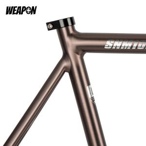 Frameset TSUNAMI SNM100 (Ti Gray) размер L (55)