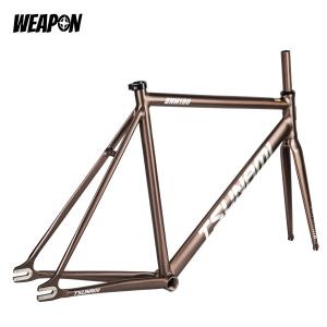 Frameset TSUNAMI SNM100 (Ti Gray) размер XL (58)