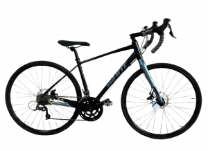 Велосипед Giant Speeder-D1 700 рама S(445) СИНИЙ-ГОЛУБОЙ