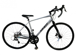 Велосипед Giant Speeder-D1 700 рама M(480) СЕРЕБРИСТЫЙ