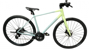 Велосипед Giant Escape 2 Plus 700 рама M(48) МАТОВЫЙ ГОЛУБОЙ