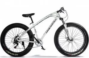ВЕЛОСИПЕД FAT BIKE GREEN BIKE XS-010 D 26'