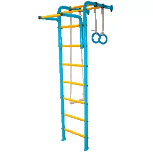ШВЕДСКАЯ СТЕНКА ABSOLUTE CHAMPION ДСК 1